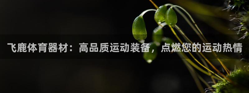 最新凯时官网网址